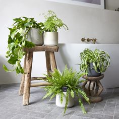 three potted plants sitting next to each other on a wooden stool in front of a white wall