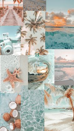 a collage of beach scenes with palm trees