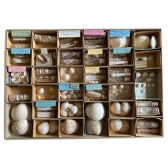 a box filled with lots of different types of seashells