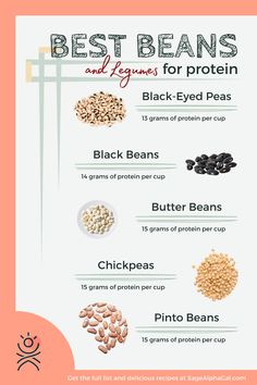 the best beans and legumes for proteining info sheet with text overlay