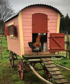 a chicken is standing in the doorway of a coop