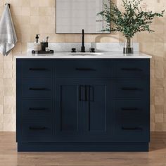 a bathroom vanity with two sinks and a mirror on the wall next to a potted plant