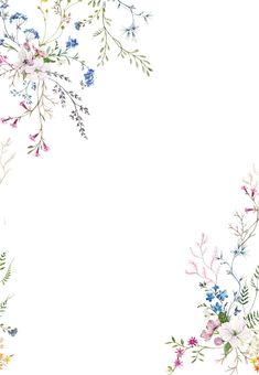 an artistic floral border made up of many different flowers and leaves on a white background