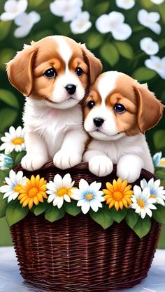 two puppies sitting in a basket with daisies