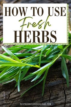 fresh herbs with the title how to use fresh herbs