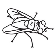 a black and white drawing of a fly