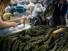 people are shopping at an outdoor market with green vegetables