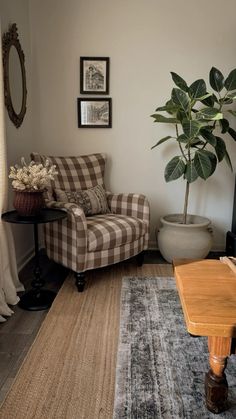 a living room filled with furniture and a potted plant