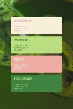 Green And Pink Logo Design, Colour Green Palette, Matcha Brand Identity, Los Angeles Color Palette, Pink And Green Color Pallet, Branding Color Palette Examples, Green Pink Colour Palette, Pink Green Colour Palette, Matcha Green Color Palette