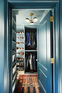 an open closet with blue walls and carpet