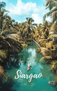 there is a man in a boat on the river surrounded by palm trees and blue water