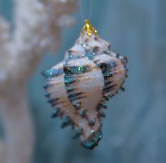 a sea shell ornament hanging from a tree