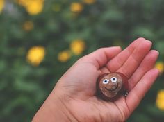 a hand holding a small rock with eyes painted on it