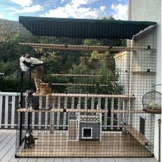 several cats are sitting in their cages on the deck outside an apartment building with a cat tree