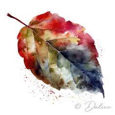 a watercolor painting of an autumn leaf