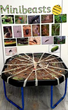 a table topped with lots of different types of plants and bugs in front of a sign that says minecasts