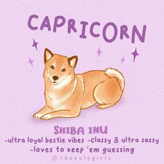 an image of a dog with caption for capricorn written in english and chinese