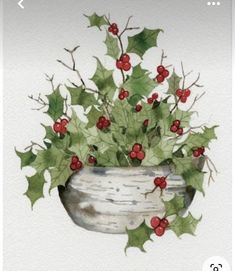 a watercolor painting of holly in a pot with red berries and green leaves on it