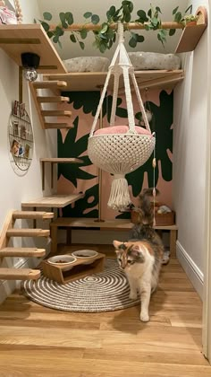 a cat walking up the stairs in a room with a hammock hanging from it's ceiling