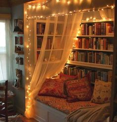 a bed with a curtain over it and some bookshelves