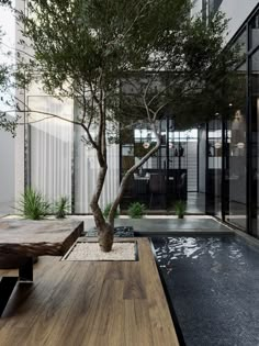 a bonsai tree in the middle of a room with large windows and wooden tables