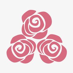 three pink roses are arranged in the shape of a spiral, on a white background