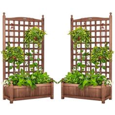 two wooden planters with plants growing in them