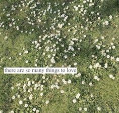 there are so many things to love written on the grass in front of white flowers