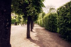 Green bushes near trees during daytime photo – Free Schönbrunn gardens Image on Unsplash Garden Arbour, Green Bushes, Wooden Gazebo, Concrete Building, White Concrete, Garden Photos, Garden Trees, Vienna Austria, Vertical Garden