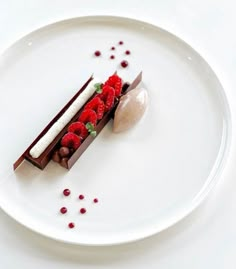 a white plate topped with a piece of chocolate and raspberry covered dessert next to a scoop of ice cream