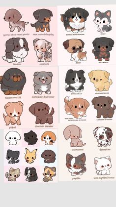 the different types of dogs and puppies are shown in this chart, which shows them '