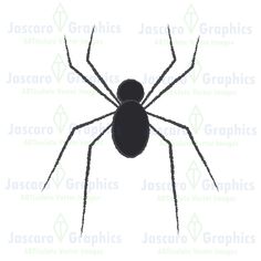 a black widow spider on a white background