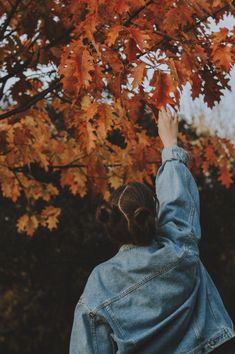 a woman reaching up to a tree with orange leaves