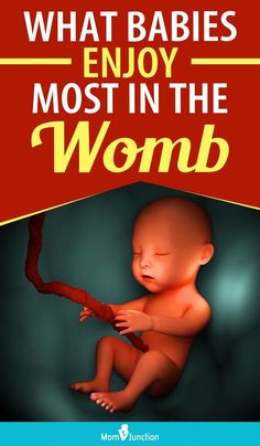 the cover of what babies enjoy most in the womb, with an image of a baby sitting on a branch