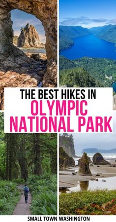 the best hikes in olympic national park