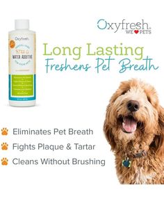 Pet essentials, dog essentials, cat essentials, pet dental care Bad Dog Breath, Pet Dental Care, Dog Breath, Water Source, Dog Dental Care, Dog Dental, Pet Odors, Bad Dog, Healthy Teeth