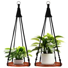 two potted plants sit on wooden stand with black cords hanging from the top and bottom