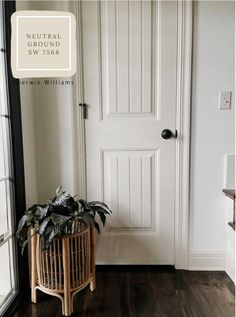 a potted plant sitting in front of a white door on a hard wood floor