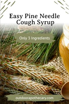 Create your own pine needle cough syrup to naturally soothe cold symptoms. This step-by-step recipe shows you how to harness the medicinal properties of pine needles for winter wellness. Perfect for boosting immunity, easing coughs, and incorporating nature's remedies into your routine. Try this simple and effective DIY herbal medicine recipe today!