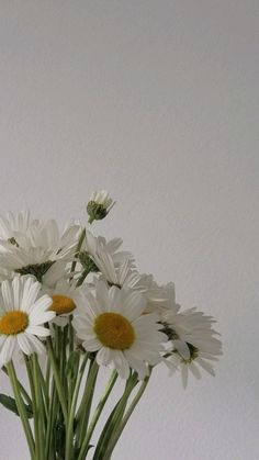 a vase filled with white daisies on top of a table