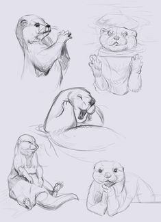 some drawings of otters sitting on the ground