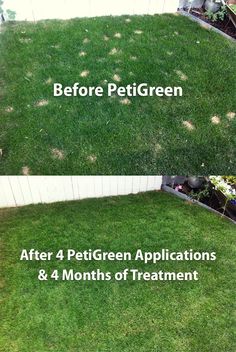 before and after pictures of lawn mowing