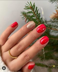 Short Red Nails Design Christmas, Small Nails Design Christmas, Christmas Red Nails Short, Red Winter Nails Short, Very Short Nails Christmas, Squoval Nails Christmas, Red Holiday Nails Short, Short Crismas Nails, Xmas Nails Designs Simple Christmas French Manicures