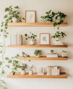 three wooden shelves with plants and books on them, along with framed pictures in the background