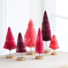 Bottle Brush Trees set of 6 pink hand-dyed, holiday room shelf sitter – Your Heart's Content Whatever Forever, Bethany Lowe Designs, Holiday Room, Holiday Mantel, Miniature Trees, Holiday Centerpieces, Small Studio