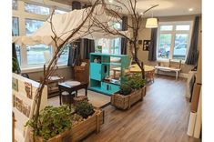 the inside of a building with lots of windows and plants in wooden boxes on the floor