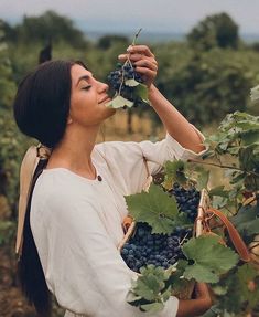 a woman picking grapes from a vine in a vineyard with her eyes closed and tongue out