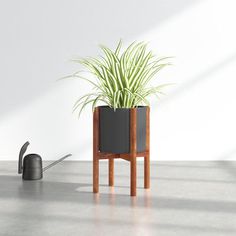 a potted plant sitting on top of a wooden stand