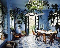 a dining room with blue walls and potted plants