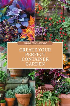 Explore creative designs for your container garden with this pin featuring stunning floral arrangements and practical care tips. Full of inspiration for layering and spacing plants showcases 4 beautiful images of blooming container gardens.